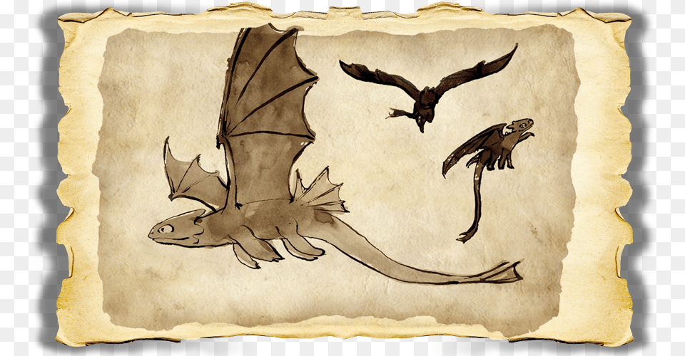 How To Train Your Dragon Book Of Dragons Cover Toothless From The Book Of Dragons, Animal, Bird, Mammal, Wildlife Png