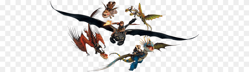 How To Train Your Dragon Train Your Dragon All Dragons, Animal, Bird, Person Free Png