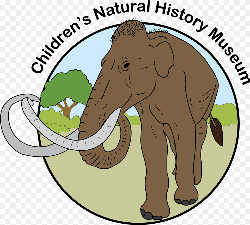 How To Use Museum September 7 2019 Saturday 10am 12 Indian Elephant, Animal, Mammal, Wildlife Free Png Download