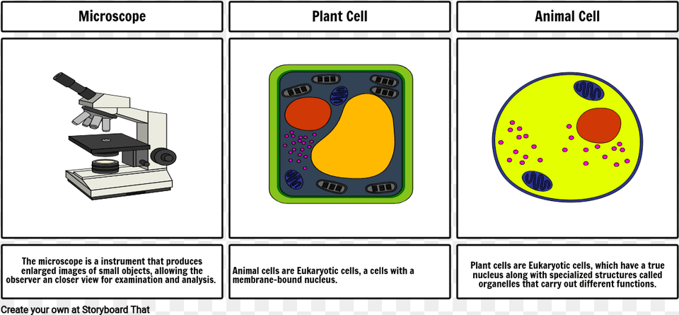 How To Use The Microscope To See Cells Skinner Box Free Transparent Png