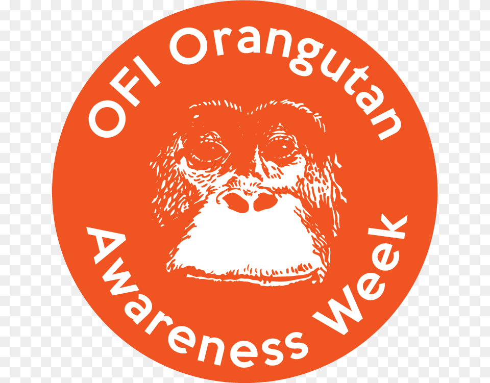 However You Choose To Celebrate Orangutan Awareness Orangutan Foundation, Animal, Ape, Logo, Mammal Free Png Download