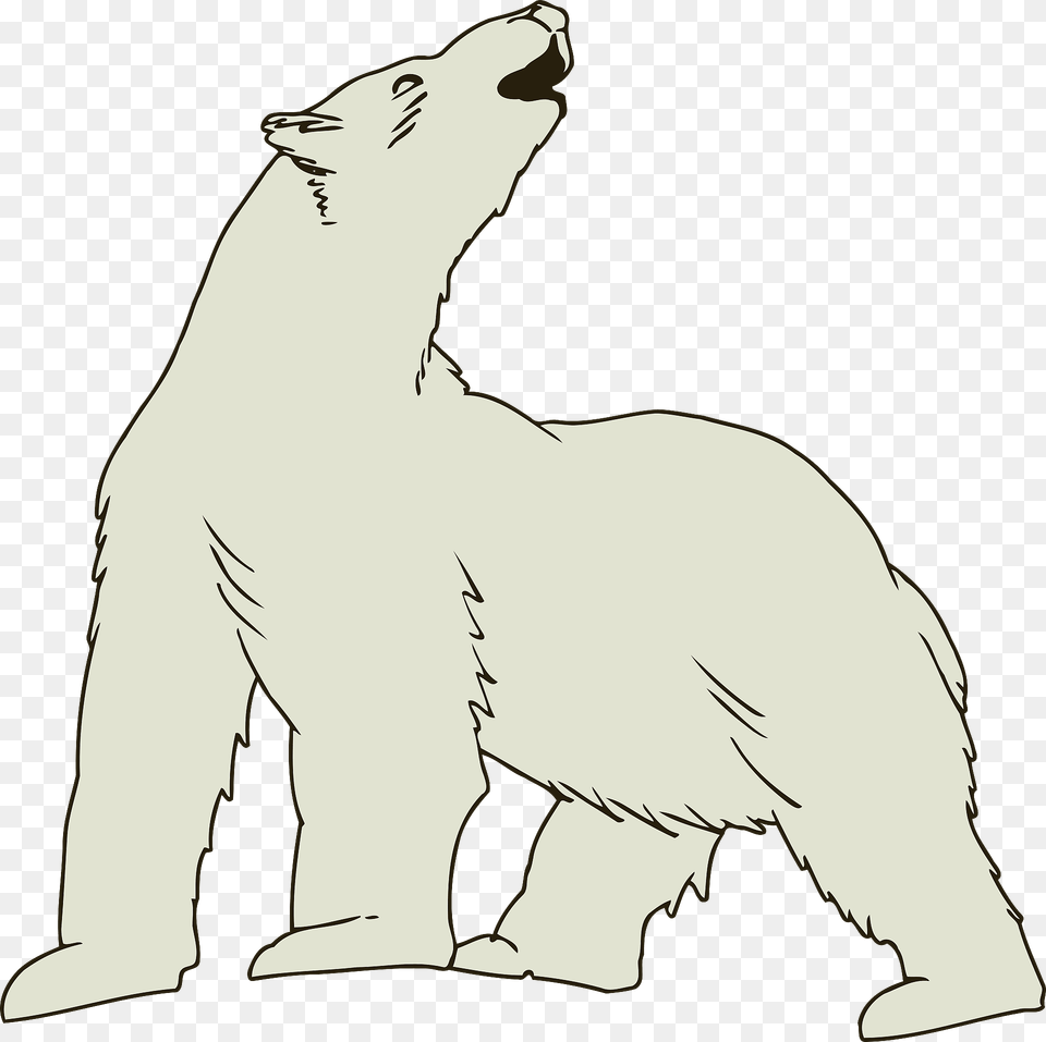 Howling Polar Bear Clipart, Animal, Wildlife, Mammal, Polar Bear Free Transparent Png