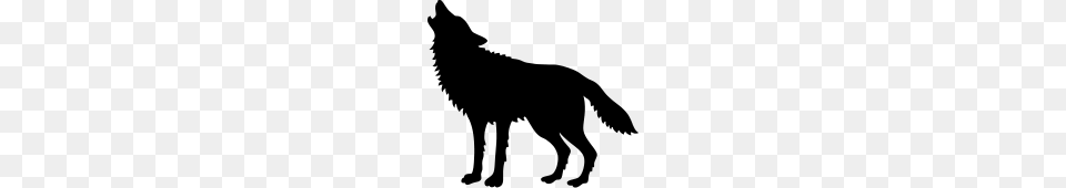 Howling Wolf, Gray Free Png