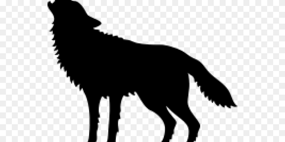 Howling Wolf At Full Moon Bag 640x480 Silhouette Pierre Et Le Loup, Gray Free Png