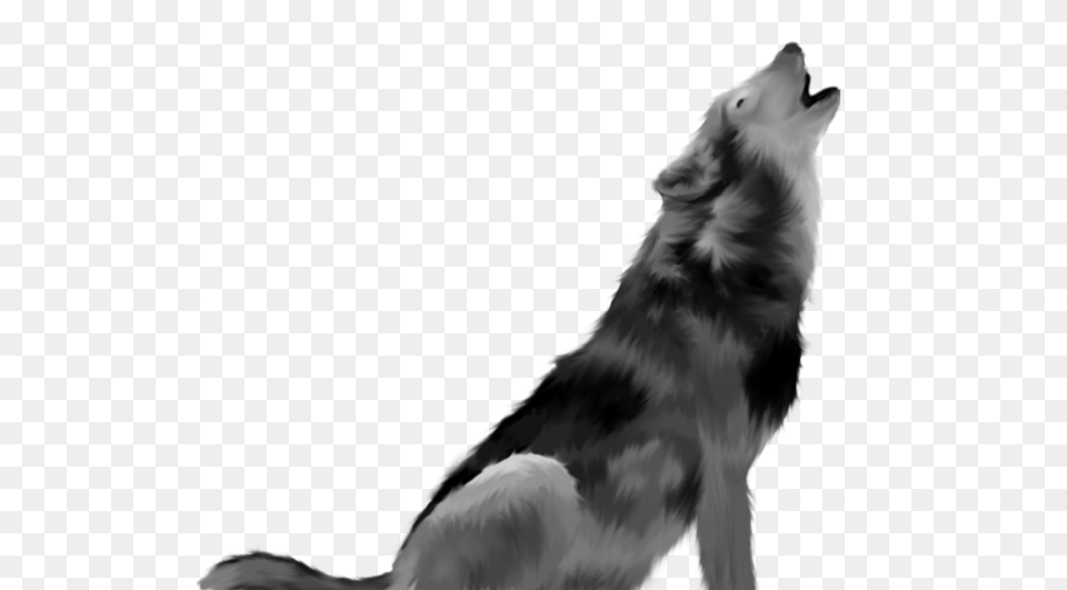 Howling Wolf Giftsforsubs, Animal, Mammal, Canine, Dog Free Transparent Png