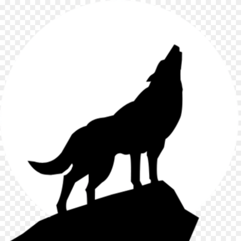 Howling Wolf Silhouette Clip Art Clipart Animal, Coyote, Mammal, Kangaroo Free Png Download