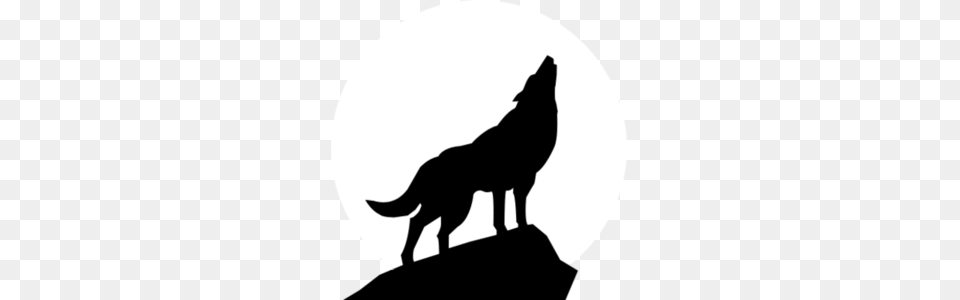 Howling Wolf Silhouette Images, Animal, Coyote, Mammal, Kangaroo Free Png Download