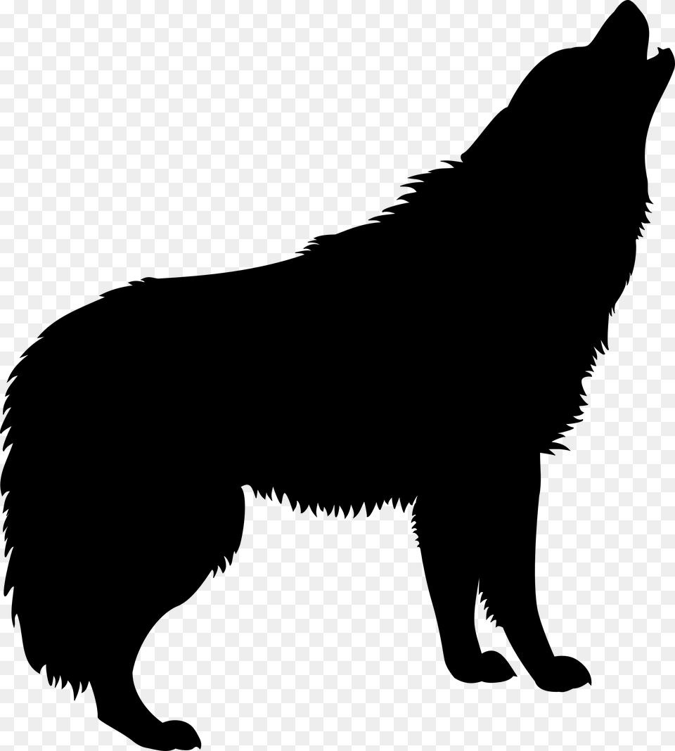 Howling Wolf Silhouette Transparent Wolf Howling Silhouette, Animal, Mammal, Bear, Wildlife Png Image