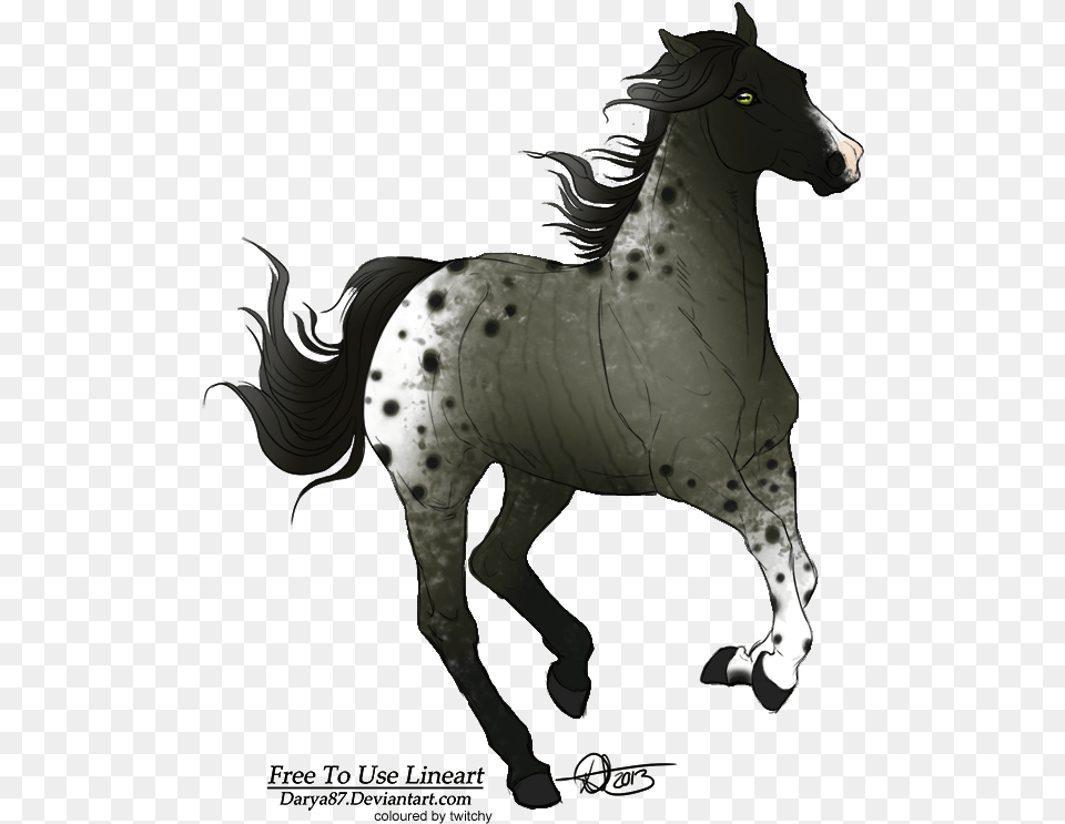 Howrse, Animal, Mammal, Colt Horse, Horse Free Png