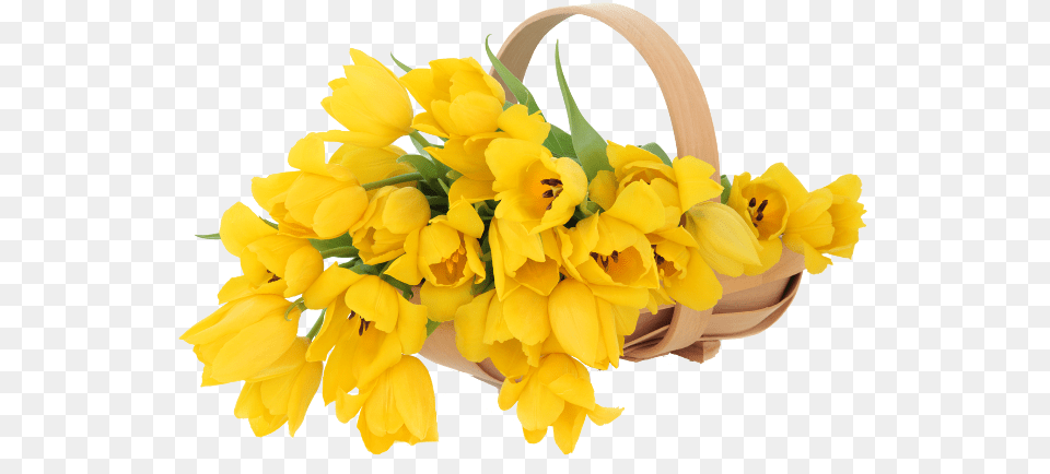 Hoy Te Regalamos Hermosas Imgenes En De Flores Yellow Flowers Basket, Daffodil, Flower, Plant, Flower Arrangement Free Png