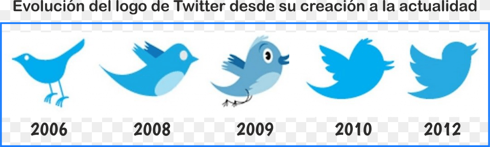 Hoy Twitter Sigue Siendo Una Referencia En Las Redes, Animal, Bird, Jay Png Image