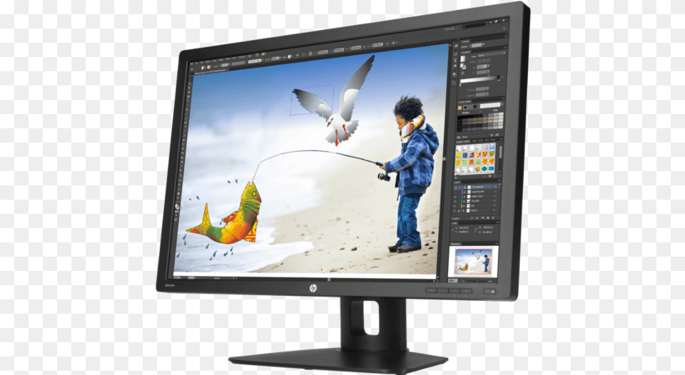 Hp Ips Monitor 24 Inch, Tv, Electronics, Computer Hardware, Screen Free Png Download