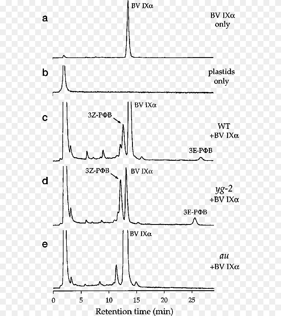 Hplc Analysis Of Pb Synthesis From Bv Ix By Isolated Diagram, Gray Free Transparent Png