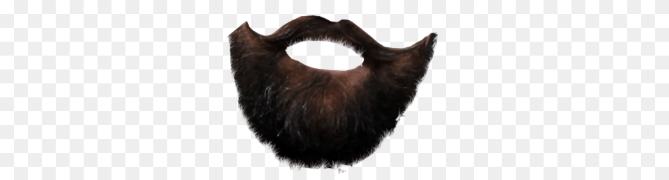 Hq Beard Transparent Beard, Face, Head, Person, Mustache Free Png
