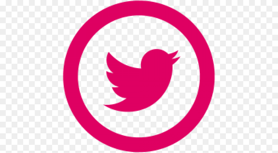 Hq Real Verified Twitter Followers Small Twitter Twitter Logo Purple Free Png Download