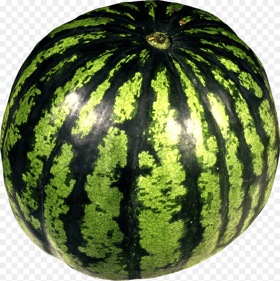 Hq Watermelon Water Melons Without Backround, Food, Fruit, Produce, Plant Png Image