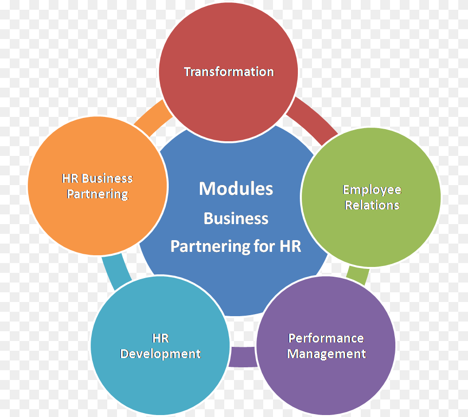 Hr Business Partner Vs Hr Manager Marang Human Capital Search Strategy, Diagram Free Png Download