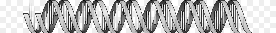 Hs Dna Helix, Coil, Spiral, Cutlery, Fork Free Png
