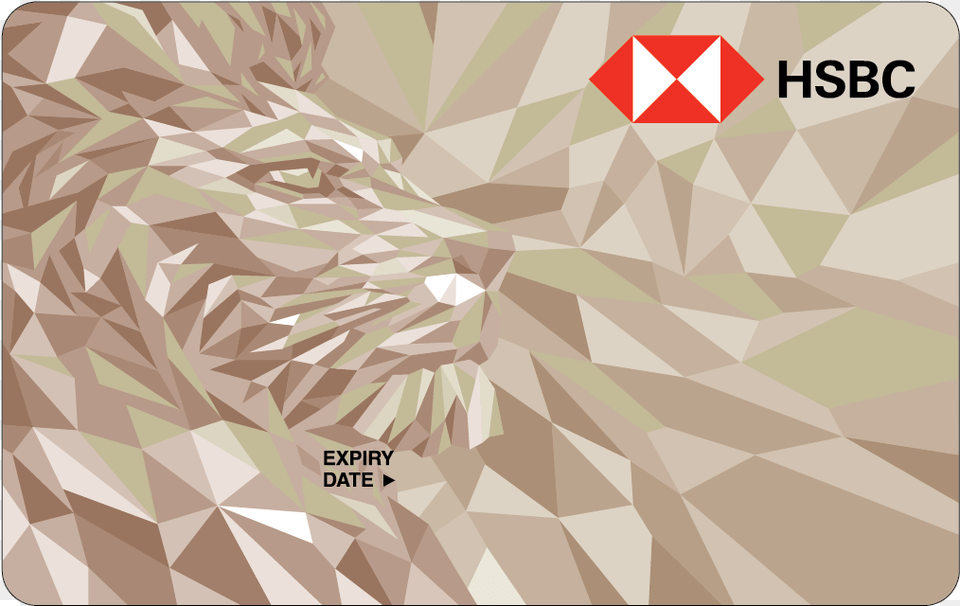 Hsbc Indonesia Credit Card, Animal, Lion, Mammal, Wildlife Free Png Download