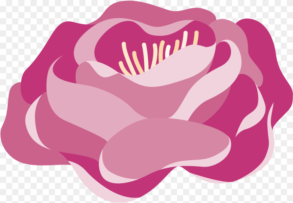 Ht Peonies01 Indv 01 Illustration, Flower, Petal, Plant, Rose Free Png