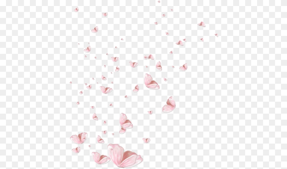 Htc S Transprent Pink Butterfly Effect, Flower, Petal, Plant Png