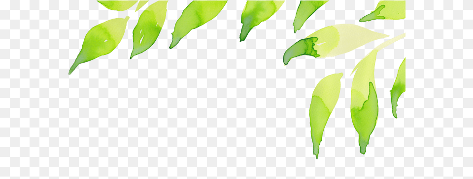 Html Bundle Creative Leafy Blog Leaves Header, Green, Leaf, Plant, Fern Png Image