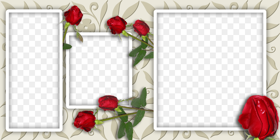 Http Radikal Garden Roses, Flower, Plant, Rose Free Transparent Png
