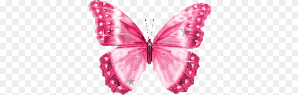 Http I46 Tinypic Comdfzx1z Http I45 Pink Butterfly Clip Art, Flower, Petal, Plant, Animal Png Image