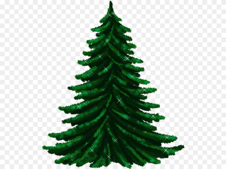 Http Image Noelshack Christmas Tree, Plant, Pine, Christmas Decorations, Festival Free Transparent Png