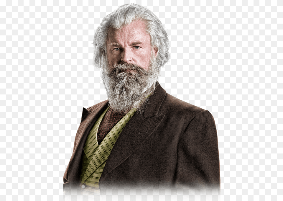 Http Riseofthemasters Comimgbeethoven Rise Of The Masters, Head, Beard, Person, Face Png Image