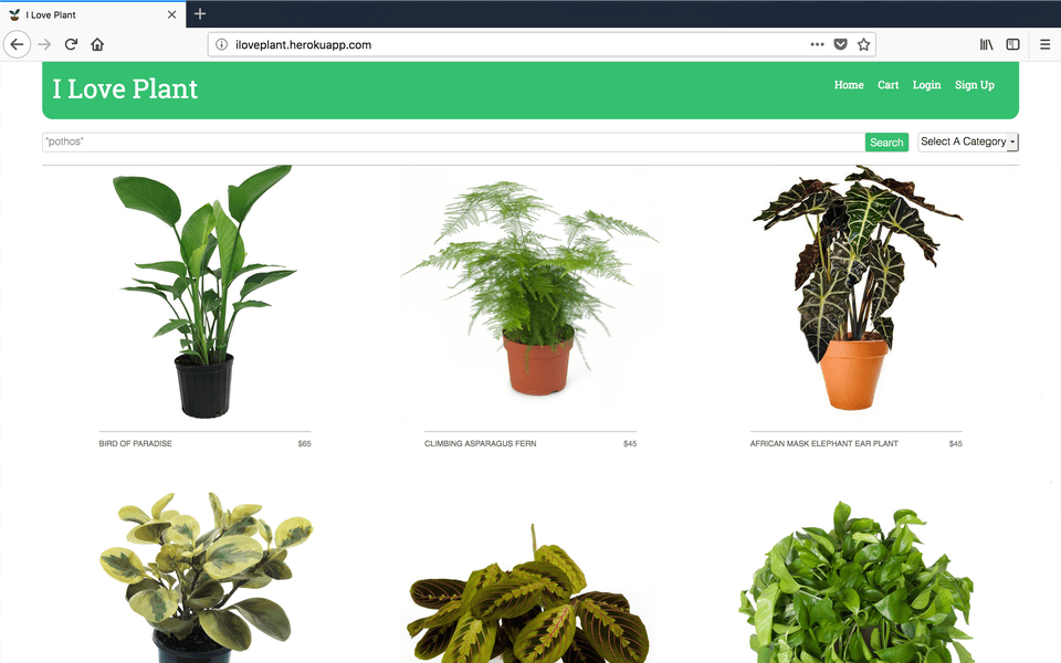 Https Github Comketikatiloveplant Houseplant, Herbal, Herbs, Leaf, Plant Png