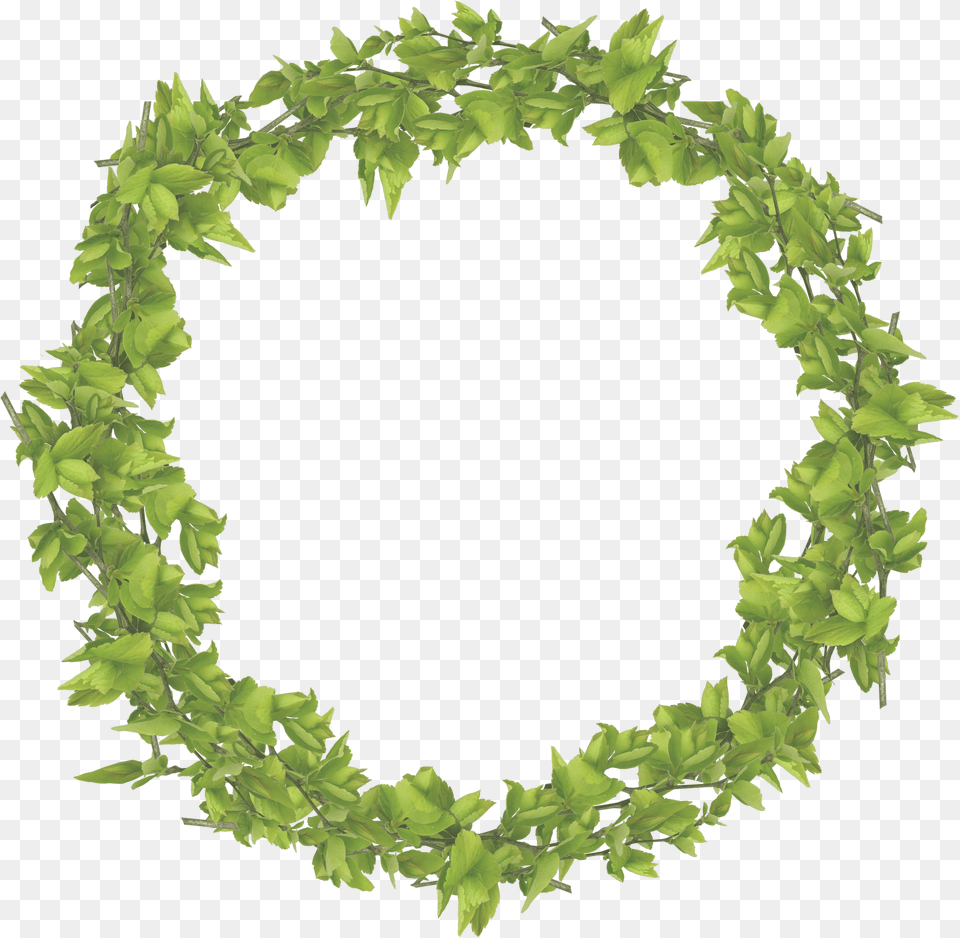 Https Img Fotki Yandex Ruget6741 Easter Wreath, Leaf, Plant, Flower, Flower Arrangement Free Transparent Png