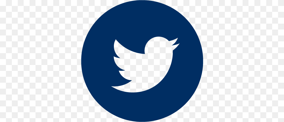 Https Jeb2016 Com Twitter Logo Blue, Animal, Fish, Sea Life, Shark Free Transparent Png