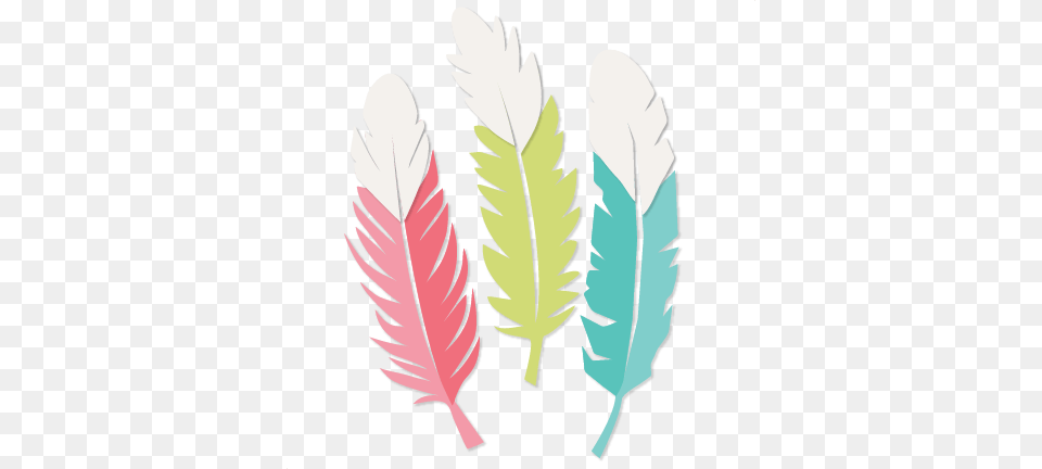 Https Misskatecuttables Comuploadsshopping Cute Feather Clipart, Leaf, Plant, Art Free Transparent Png