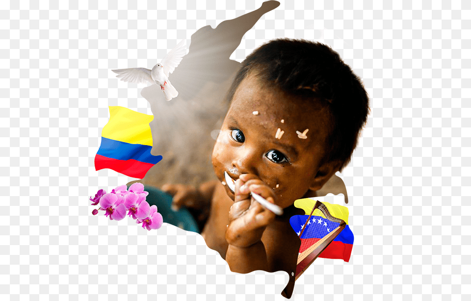 Https Ongcasacolombia Child, Person, Face, Head, Portrait Free Png Download