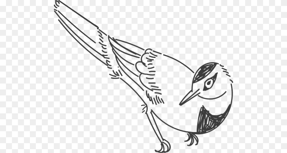 Https Pub Static Haozhaopian 1a91 4c3b A167 Sketch, Animal, Bird, Jay, Person Free Png