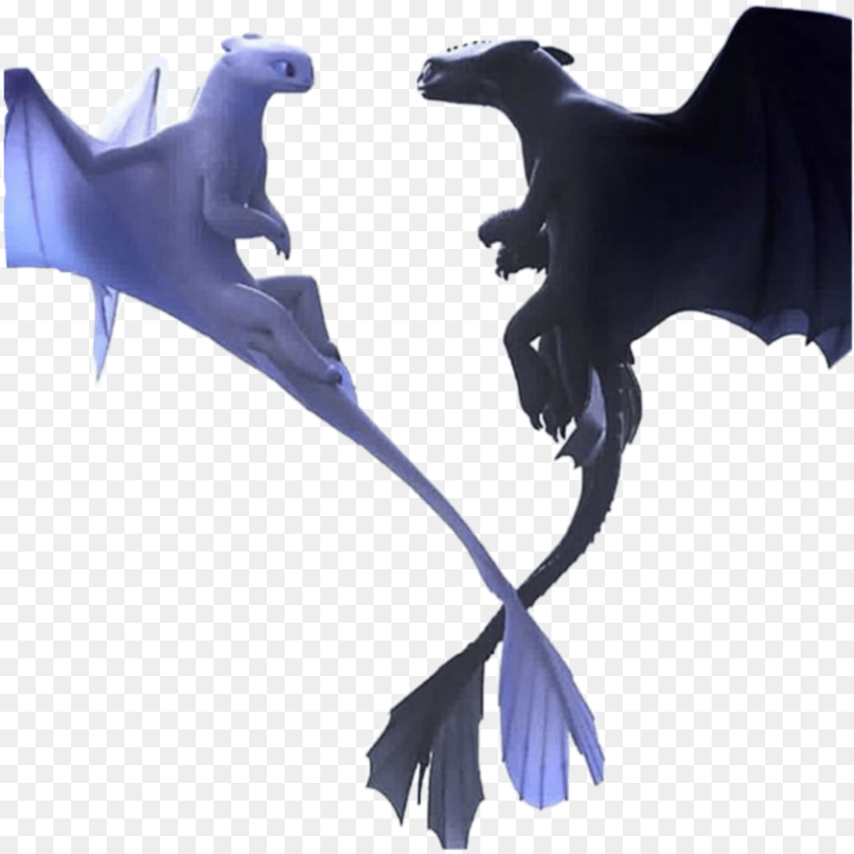 Httyd Light Fury Night Fury Toothless Dragon Httyd Toothless And Light Fury, Animal, Dinosaur, Reptile, Accessories Free Png Download