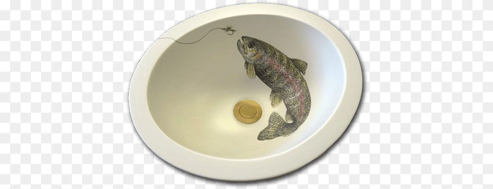 Hu 83 400 Rainbow Trout W Fly Sink, Animal, Fish, Sea Life Png Image