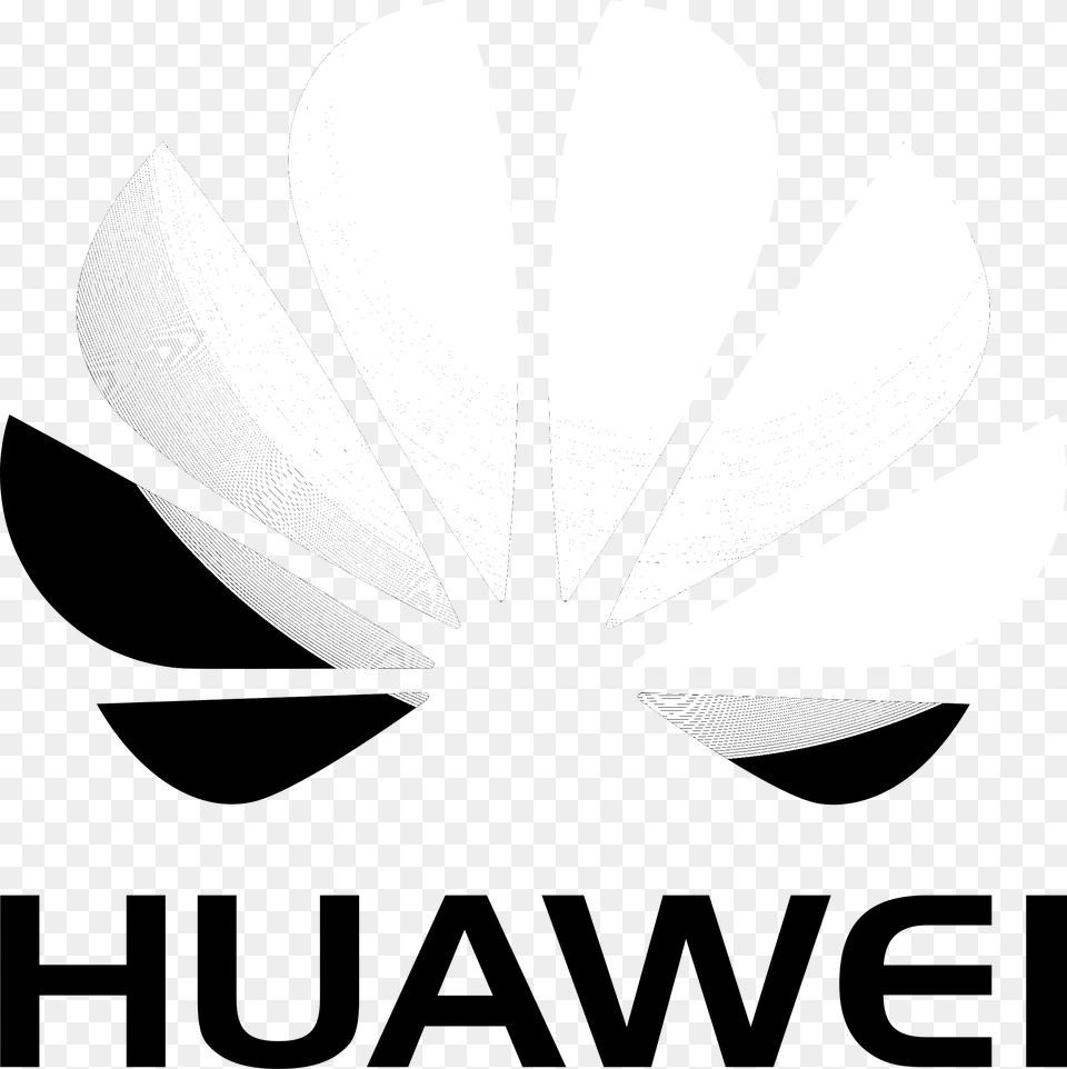 Huawei Logo, Daisy, Flower, Plant Free Transparent Png