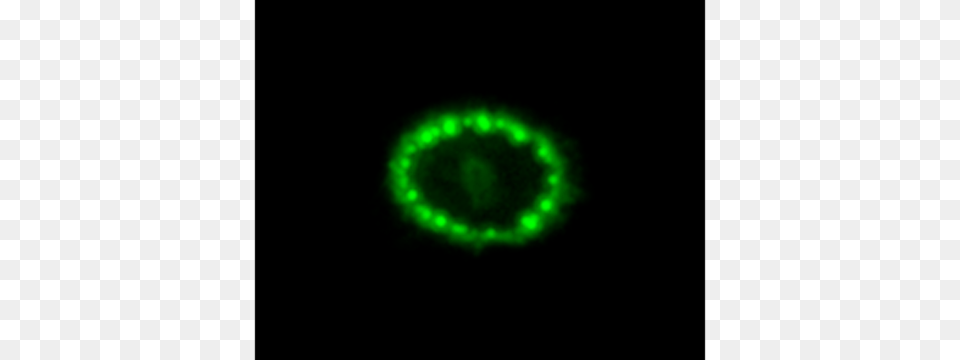 Hubblesite Image, Green, Light, Nature, Night Free Transparent Png