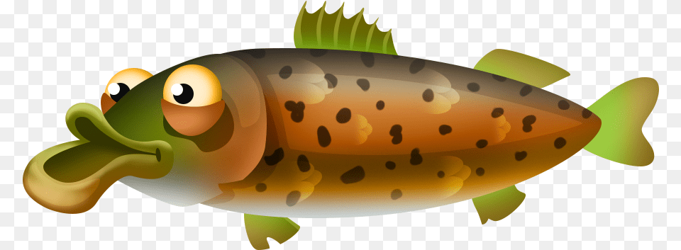 Huchen Rainbow Smelt, Animal, Fish, Sea Life, Trout Png