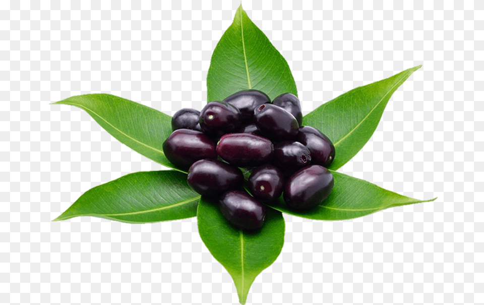 Huckleberry, Food, Fruit, Leaf, Plant Free Png Download