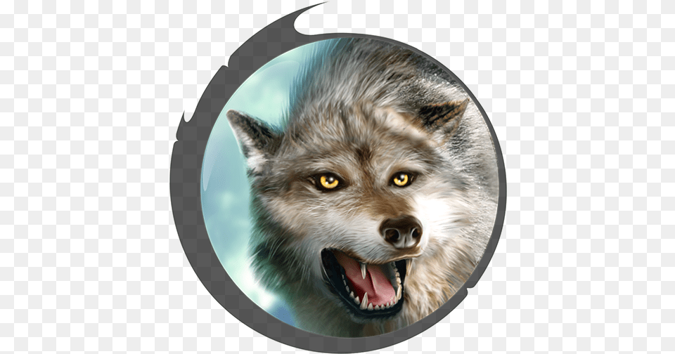 Hud Avatar Grey Wolf Wolf Online Simulator Wolves, Photography, Animal, Mammal, Canine Free Png