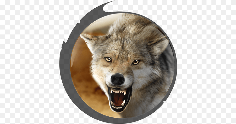 Hud Avatar Mexican Wolf Fang, Animal, Coyote, Mammal, Canine Free Png