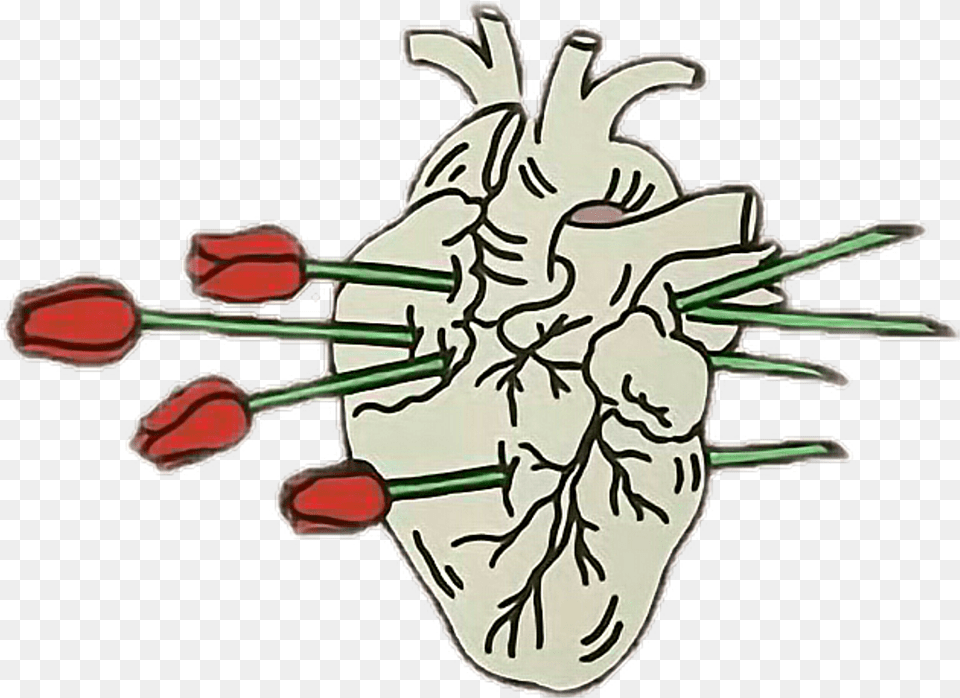 Huge Collection Of U0027heart Drawing Tumblru0027 Download Aesthetic, Flower, Plant, Anther, Animal Png