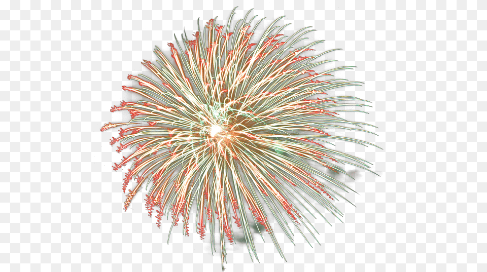 Huge Fireworks Transparent Stickpng Red And Green Fireworks, Plant Free Png Download