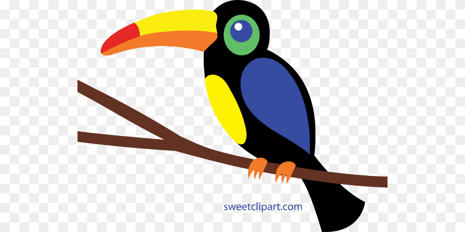 Huge Freebie Toucan Clipart, Animal, Beak, Bird Free Png Download