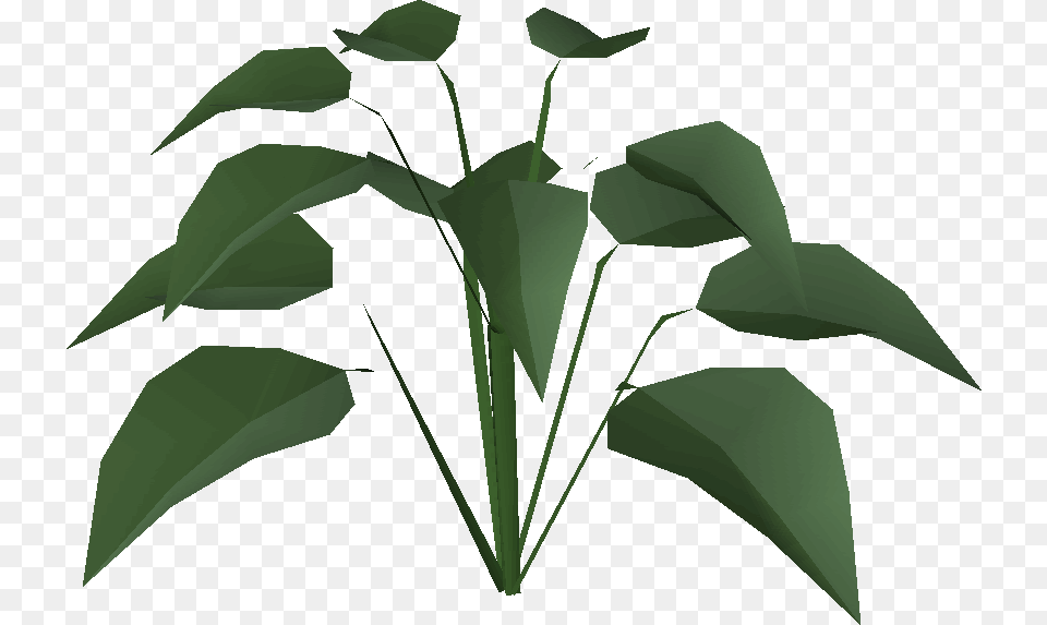 Huge Plant Built Wiki, Green, Leaf, Flower, Person Png Image