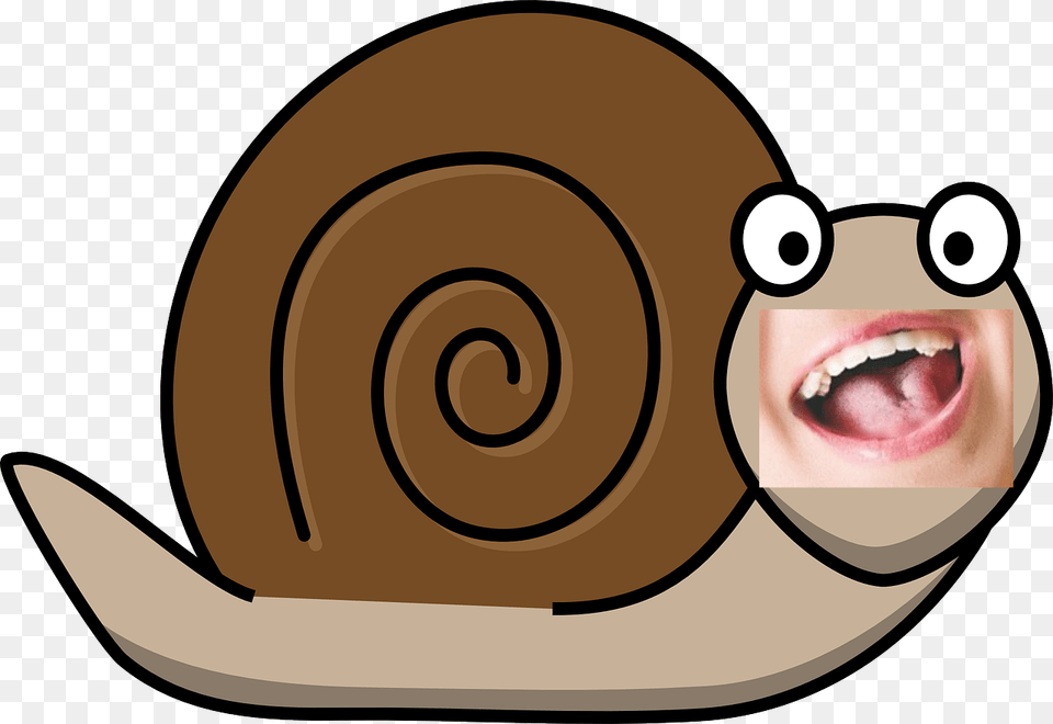 Huge Snail Sharp Teeth, Animal, Invertebrate, Baby, Disk Free Transparent Png