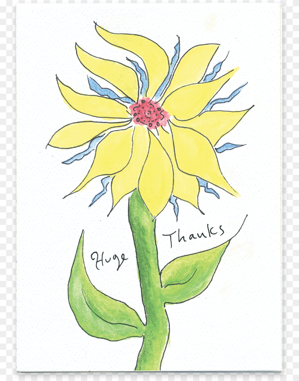 Huge Thanks Sketch, Plant, Flower, Petal, Art Png Image